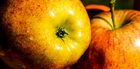 【安卓版】稳定的外呼系统